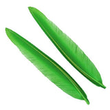 Penne delle ali di anatra | Duck Quills - Go - Fish