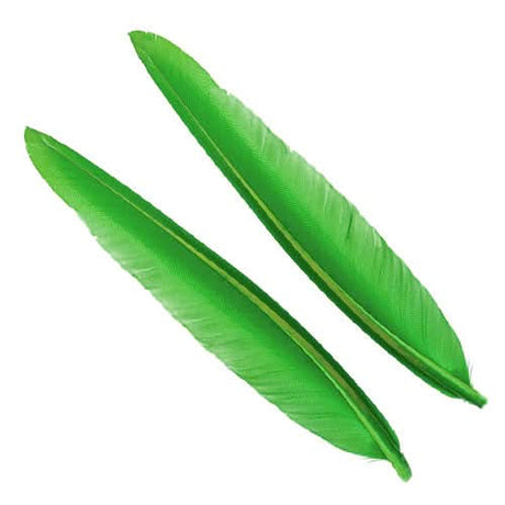 Penne delle ali di anatra | Duck Quills - Go - Fish
