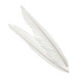 Penne delle ali di anatra | Duck Quills - Go - Fish