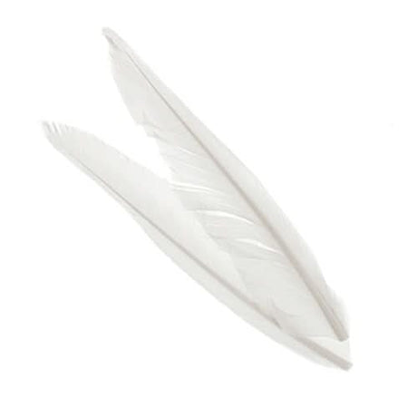 Penne delle ali di anatra | Duck Quills - Go - Fish
