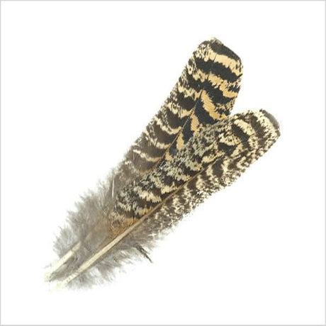 Penne di tacchino - Go - Fish