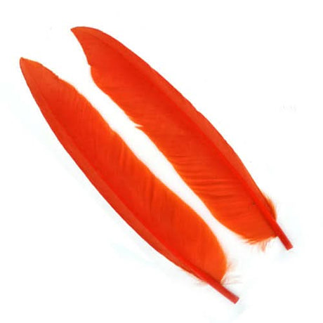 Penne d´oca | Goose Wing Quills - Go - Fish