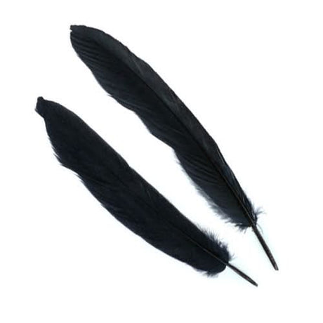 Penne d´oca | Goose Wing Quills - Go - Fish