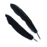 Penne d´oca | Goose Wing Quills - Go - Fish