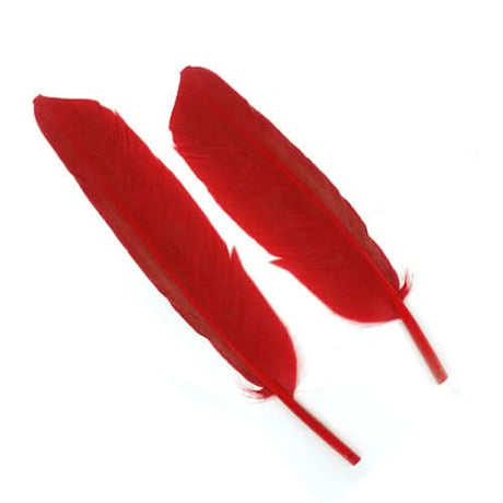 Penne d´oca | Goose Wing Quills - Go - Fish