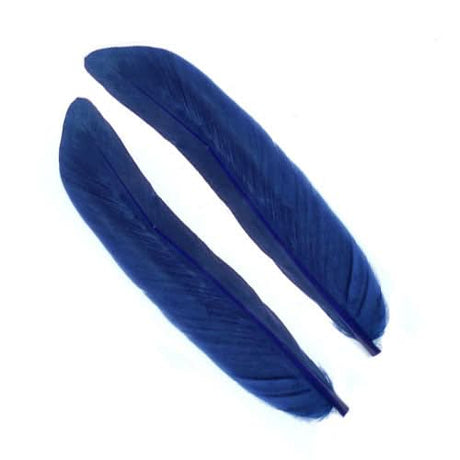 Penne d´oca | Goose Wing Quills - Go - Fish
