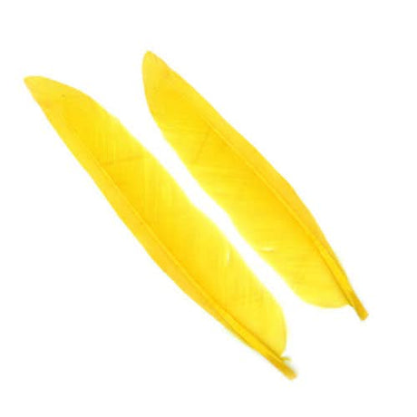 Penne d´oca | Goose Wing Quills - Go - Fish