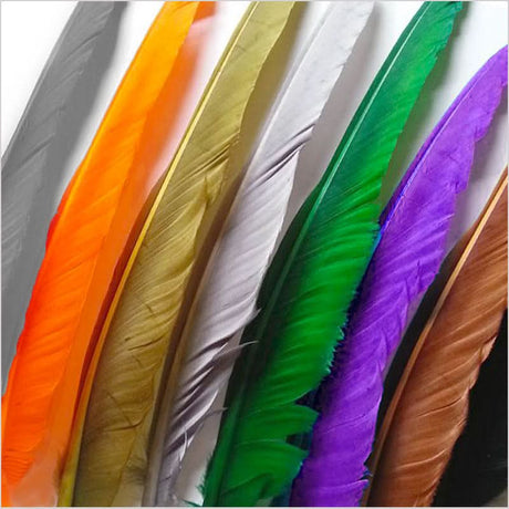 Penne d´oca | Goose Wing Quills - Go - Fish