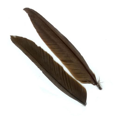 Penne d´oca | Goose Wing Quills - Go - Fish