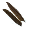 Penne d´oca | Goose Wing Quills - Go - Fish