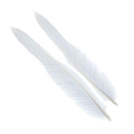 Penne d´oca | Goose Wing Quills - Go - Fish