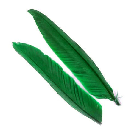 Penne d´oca | Goose Wing Quills - Go - Fish
