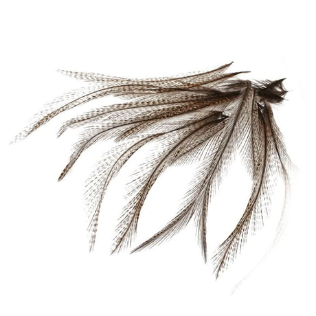 Piume Coq de Leon selezionate - Go - Fish