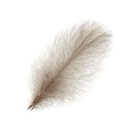 Piume Cul de Canard Selected 25 pz. - Go - Fish