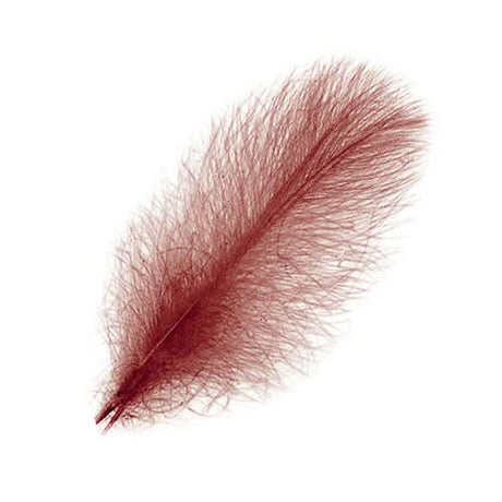Piume Cul de Canard Selected 25 pz. - Go - Fish