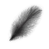 Piume Cul de Canard Selected 25 pz. - Go - Fish