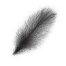 Piume Cul de Canard Selected 25 pz. - Go - Fish