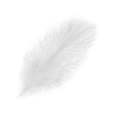 Piume Cul de Canard Selected 25 pz. - Go - Fish