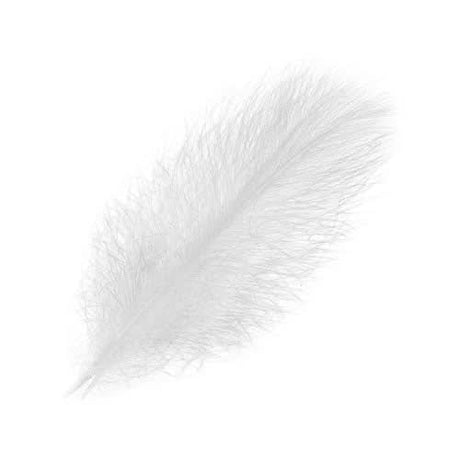Piume Cul de Canard Selected 25 pz. - Go - Fish