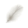 Piume Cul de Canard Selected 25 pz. - Go - Fish