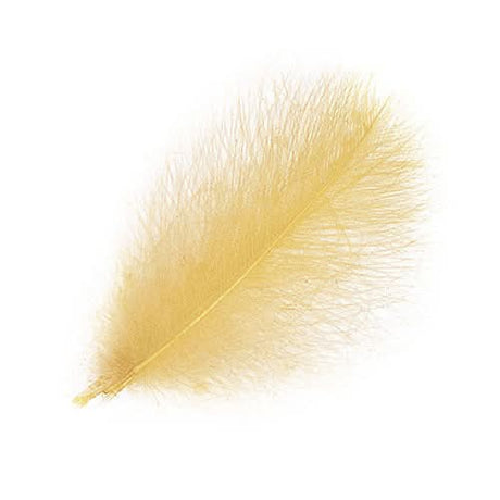 Piume Cul de Canard Selected 25 pz. - Go - Fish