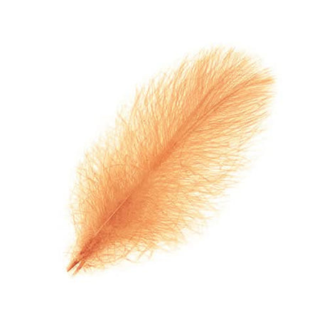 Piume Cul de Canard Selected 25 pz. - Go - Fish