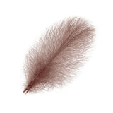Piume Cul de Canard Selected 25 pz. - Go - Fish