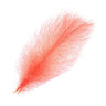 Piume Cul de Canard Selected 25 pz. - Go - Fish