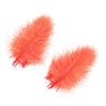Piume Cul de Canard selezione superiore - Go - Fish
