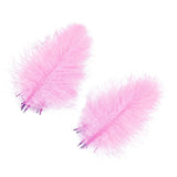 Piume Cul de Canard selezione superiore - Go - Fish