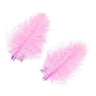 Piume Cul de Canard selezione superiore - Go - Fish