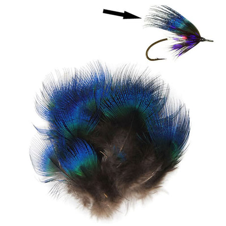 Piume del collo di Pavone blu - Go - Fish