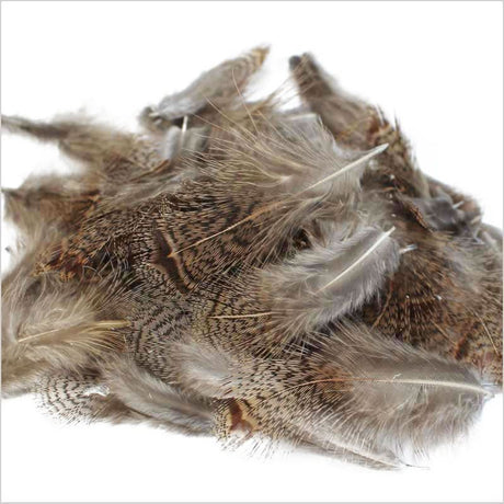 Piume del collo di pernice inglese - Go - Fish