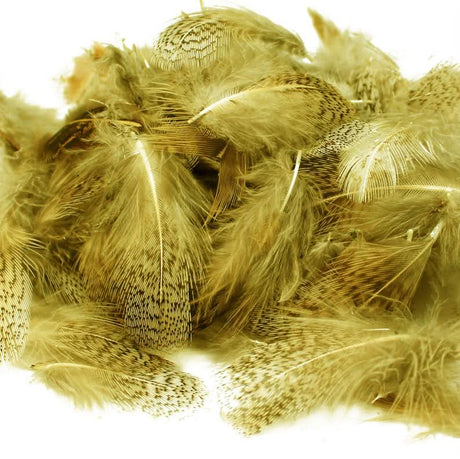Piume del collo di pernice inglese - Go - Fish
