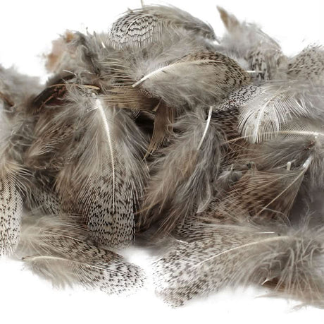Piume del collo di pernice inglese - Go - Fish