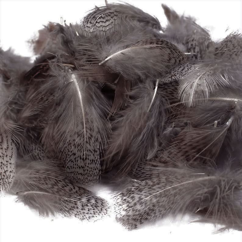 200 Pezzi Piume di Fagiano Naturali DIY Piume di Artigianato Piume Decorative Naturali Marrone Piume di pollo naturali 5-10cm Mini piume di fagiano per Cacciatore di Sogni Orecchini Festa Decor (A
