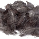 Piume del collo di pernice inglese - Go - Fish