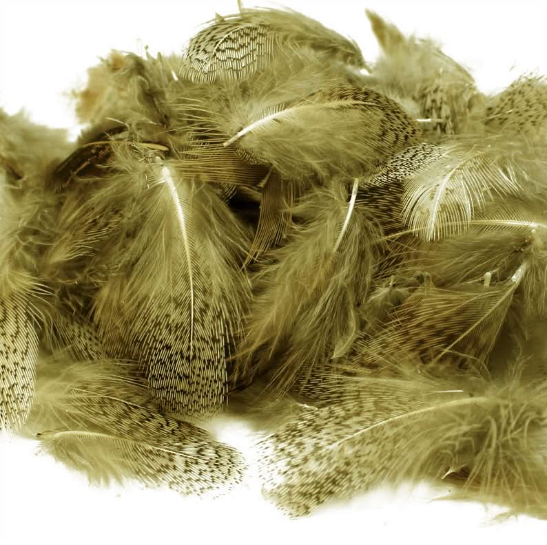 Piume del collo di pernice inglese - Go - Fish
