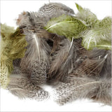Piume del collo di pernice inglese - Go - Fish