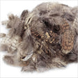 Piume di beccaccia - Woodcock Feathers - Go - Fish