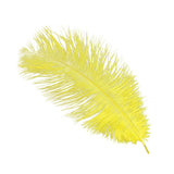 Piume di struzzo - Go - Fish