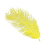 Piume di struzzo - Go - Fish