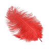 Piume di struzzo - Go - Fish