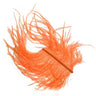 Piume di struzzo - Go - Fish