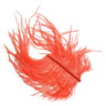 Piume di struzzo - Go - Fish