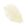 Piume di struzzo - Go - Fish