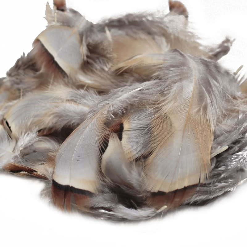 Piume French Partridge - Go - Fish