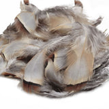 Piume French Partridge - Go - Fish