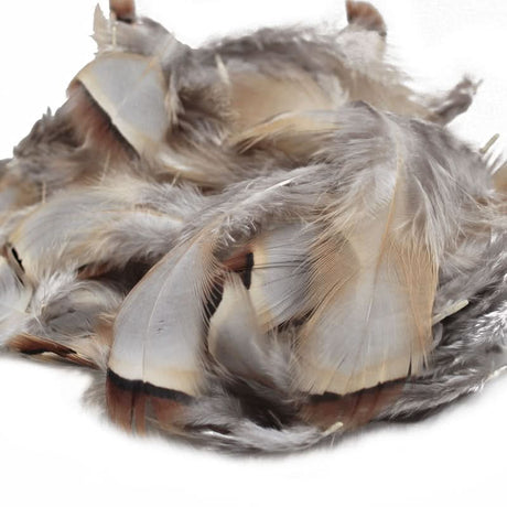 Piume French Partridge - Go - Fish