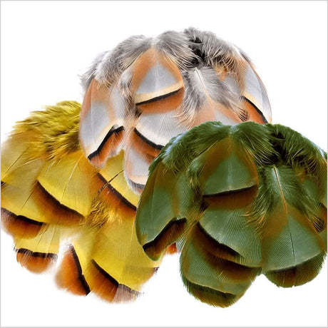 Piume French Partridge - Go - Fish